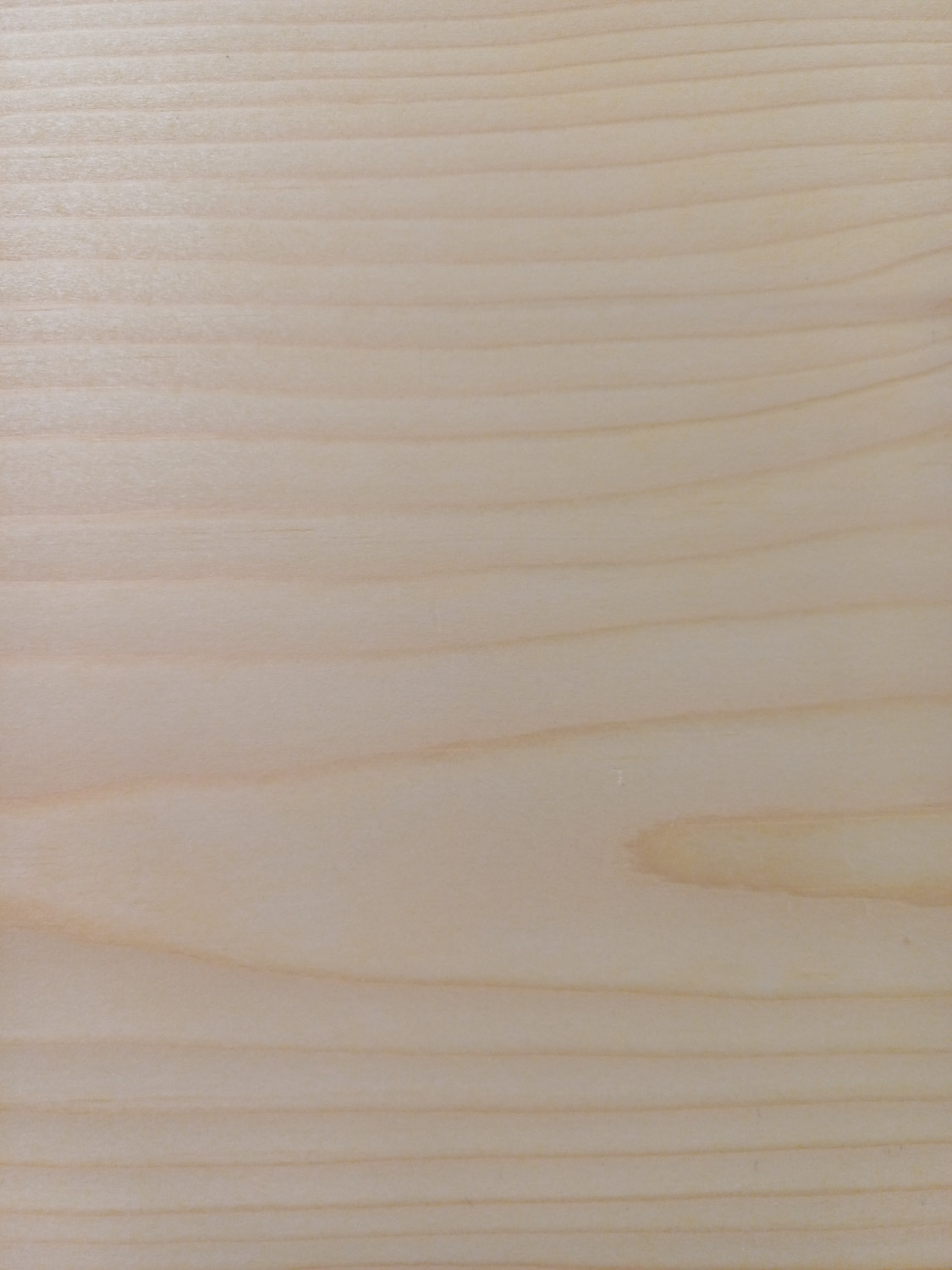 Philippe et Louis Vial Fond 14